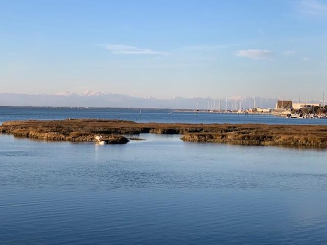 Punta Faro Villa Lignano Sabbiadoro Exteriör bild
